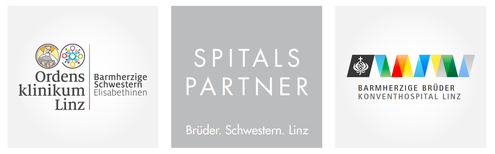 BHS-BHB Spitalspartnerschaft Logo / BHS-BHB BHS-BHB Spitalspartnerschaft Logo